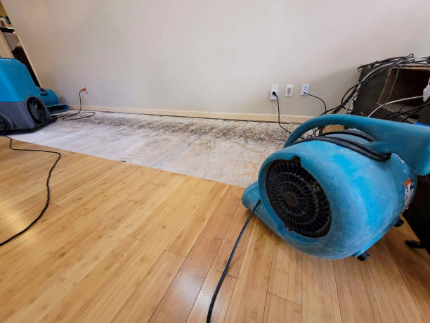 Reliable Basement Flood Cleanup contractor in Somerset, MA by Hirex Water Damage