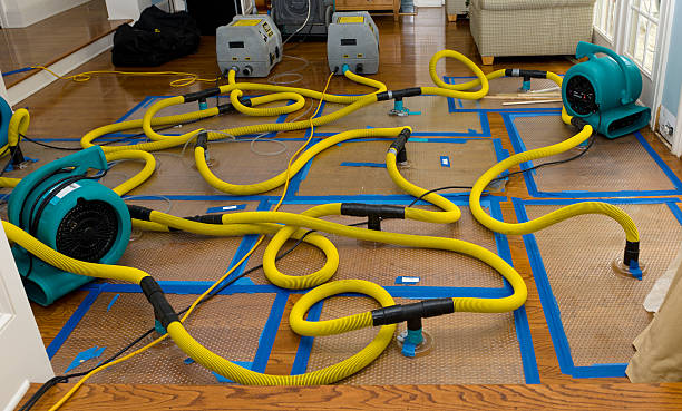 Professional Basement Flood Cleanup technician working in Somerset, MA